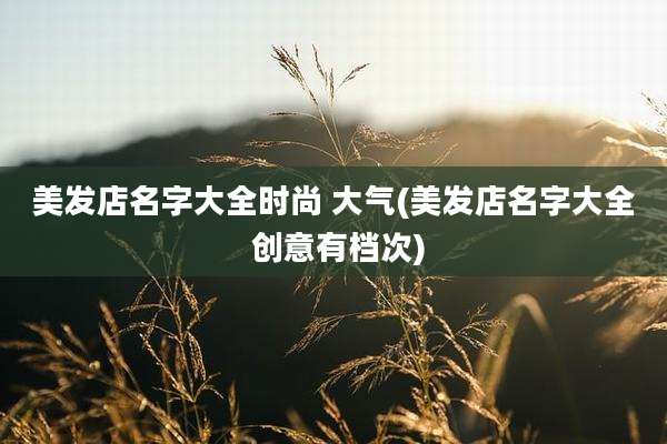 美发店名字大全时尚 大气(美发店名字大全 创意有档次)