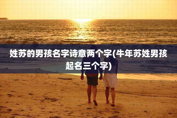 姓苏的男孩名字诗意两个字(牛年苏姓男孩起名三个字)
