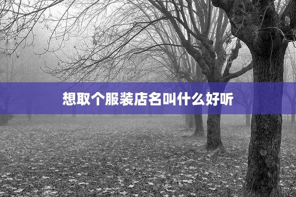 想取个服装店名叫什么好听