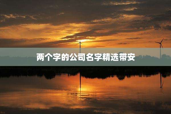 两个字的公司名字精选带安