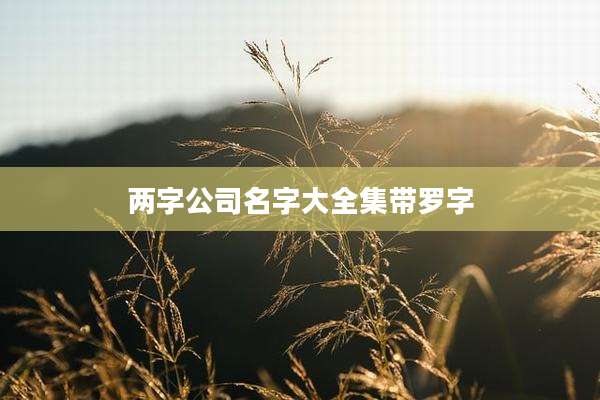 两字公司名字大全集带罗字