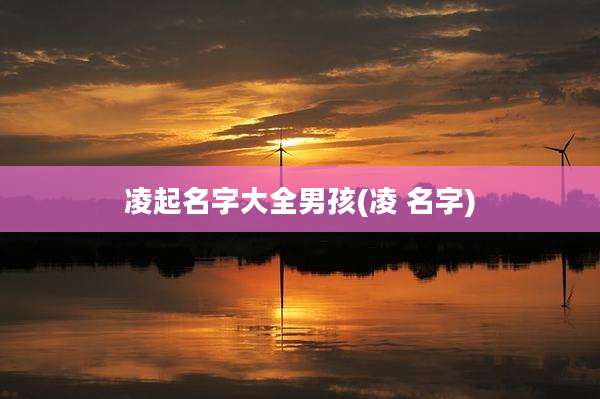 凌起名字大全男孩(凌 名字)