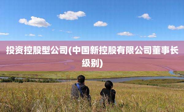 投资控股型公司(中国新控股有限公司董事长级别)