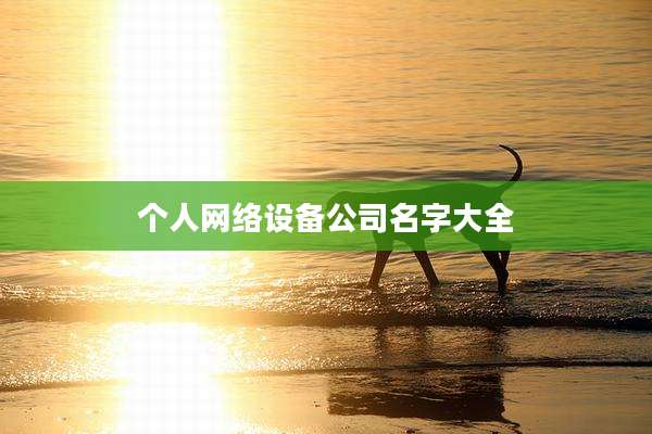 个人网络设备公司名字大全