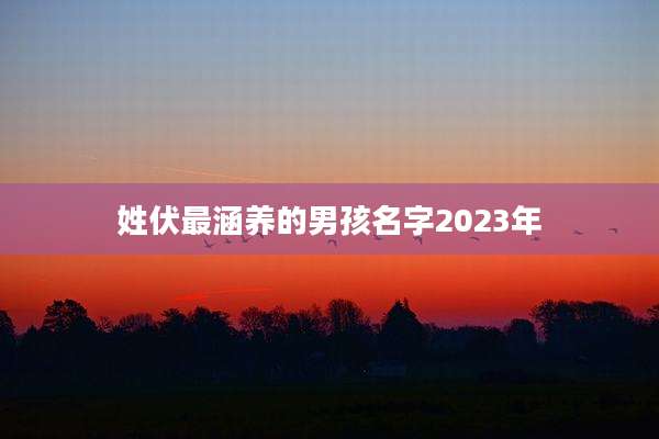 姓伏最涵养的男孩名字2023年