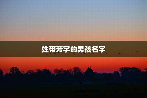 姓带芳字的男孩名字