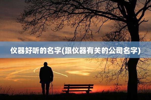 仪器好听的名字(跟仪器有关的公司名字)