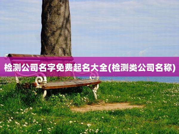 检测公司名字免费起名大全(检测类公司名称)