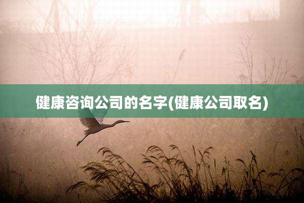健康咨询公司的名字(健康公司取名)