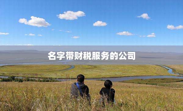 名字带财税服务的公司