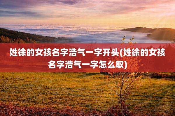 姓徐的女孩名字浩气一字开头(姓徐的女孩名字浩气一字怎么取)