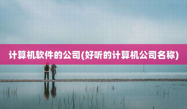 计算机软件的公司(好听的计算机公司名称)
