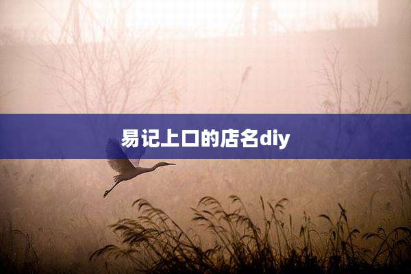 易记上口的店名diy