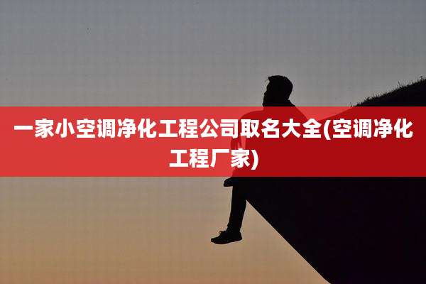 一家小空调净化工程公司取名大全(空调净化工程厂家)