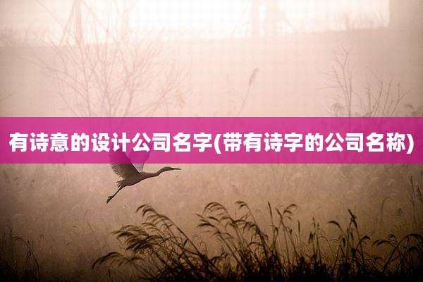 有诗意的设计公司名字(带有诗字的公司名称)