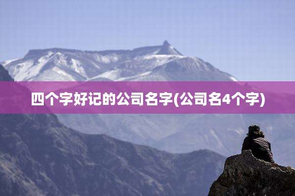 四个字好记的公司名字(公司名4个字)