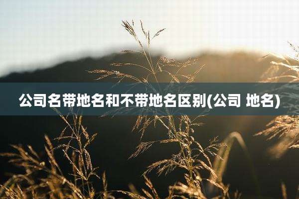 公司名带地名和不带地名区别(公司 地名)