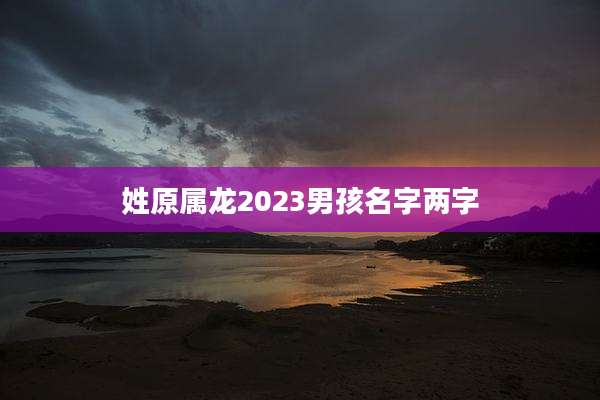 姓原属龙2023男孩名字两字