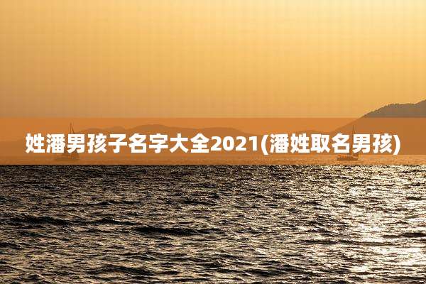 姓潘男孩子名字大全2021(潘姓取名男孩)