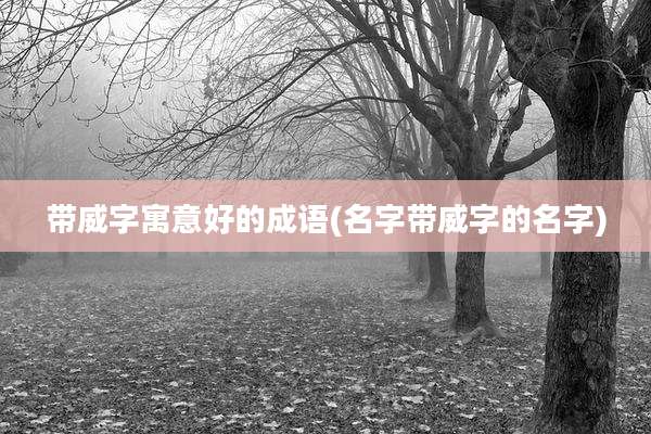 带威字寓意好的成语(名字带威字的名字)
