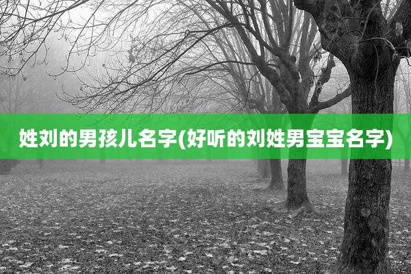 姓刘的男孩儿名字(好听的刘姓男宝宝名字)