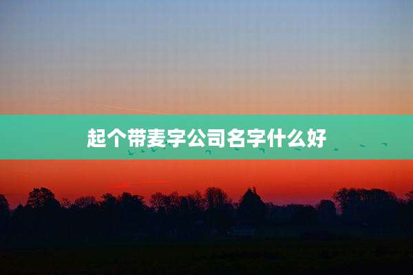起个带麦字公司名字什么好