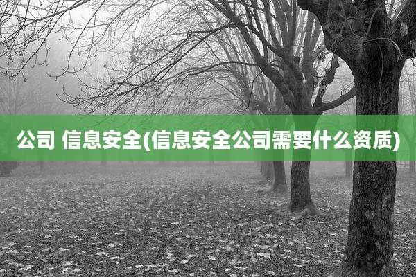 公司 信息安全(信息安全公司需要什么资质)