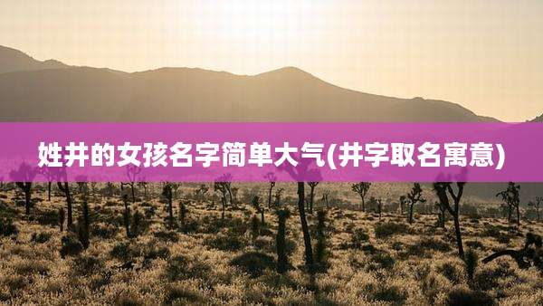 姓井的女孩名字简单大气(井字取名寓意)