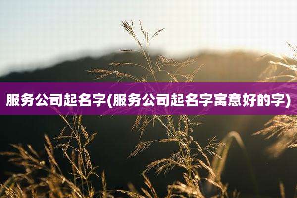服务公司起名字(服务公司起名字寓意好的字)