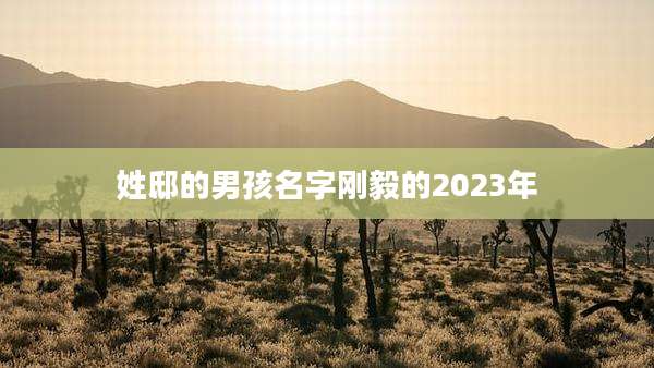 姓邸的男孩名字刚毅的2023年