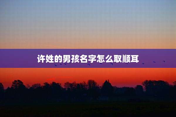 许姓的男孩名字怎么取顺耳