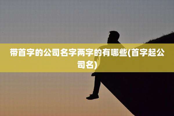 带首字的公司名字两字的有哪些(首字起公司名)