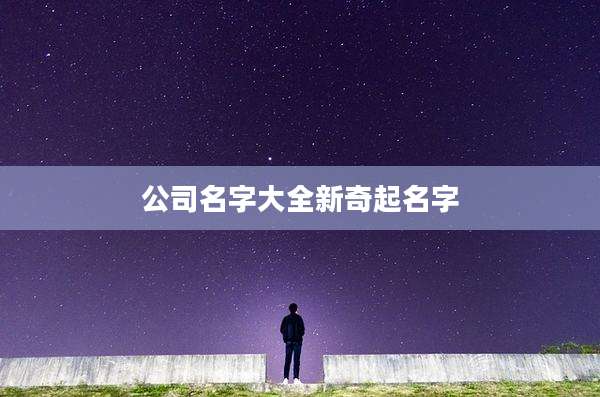 公司名字大全新奇起名字