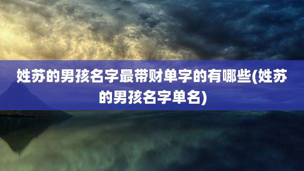 姓苏的男孩名字最带财单字的有哪些(姓苏的男孩名字单名)