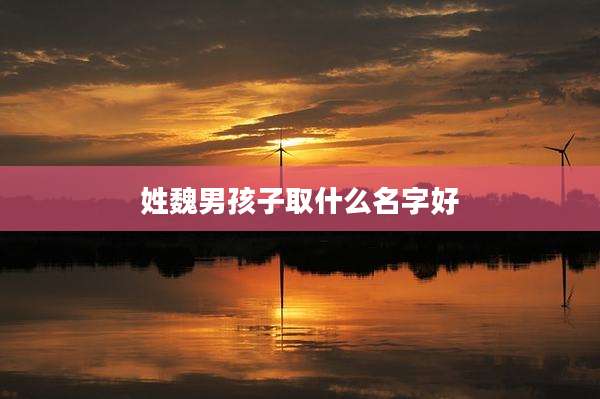 姓魏男孩子取什么名字好