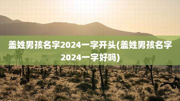 盖姓男孩名字2024一字开头(盖姓男孩名字2024一字好吗)