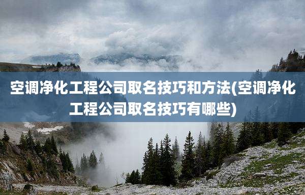 空调净化工程公司取名技巧和方法(空调净化工程公司取名技巧有哪些)