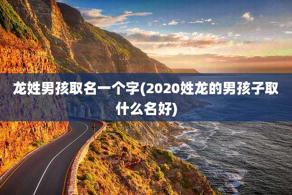 龙姓男孩取名一个字(2020姓龙的男孩子取什么名好)