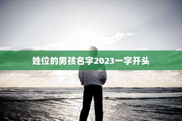 姓位的男孩名字2023一字开头