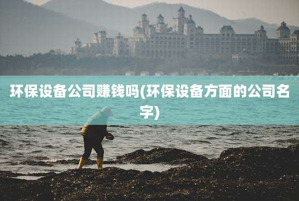 环保设备公司赚钱吗(环保设备方面的公司名字)