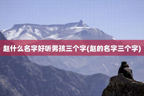 赵什么名字好听男孩三个字(赵的名字三个字)