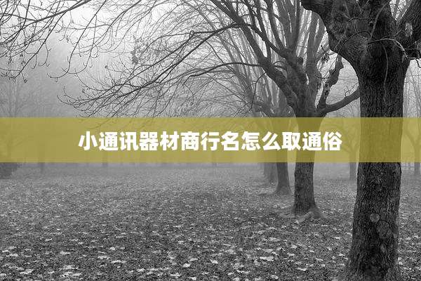 小通讯器材商行名怎么取通俗
