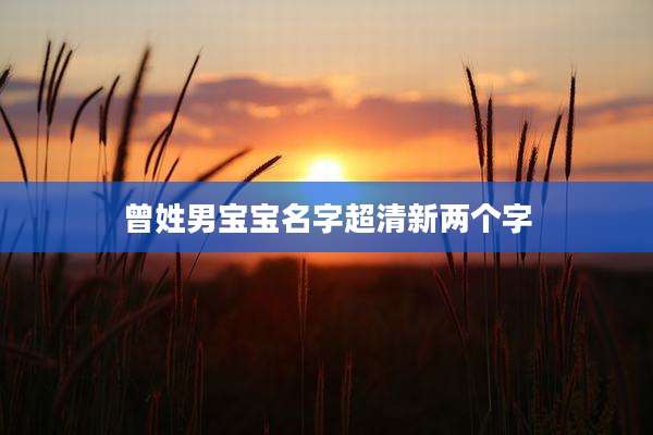 曾姓男宝宝名字超清新两个字