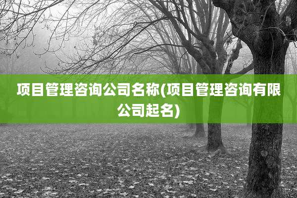 项目管理咨询公司名称(项目管理咨询有限公司起名)