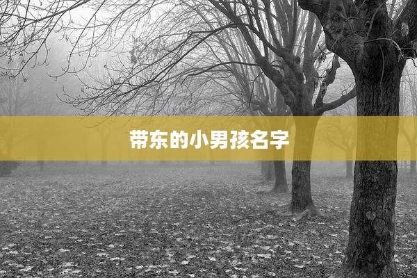 带东的小男孩名字
