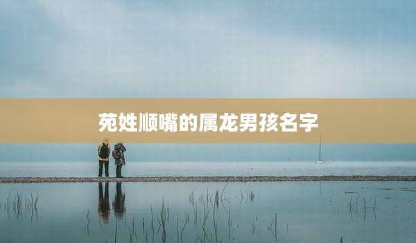 苑姓顺嘴的属龙男孩名字