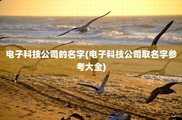 电子科技公司的名字(电子科技公司取名字参考大全)