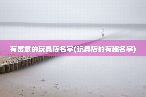 有寓意的玩具店名字(玩具店的有趣名字)