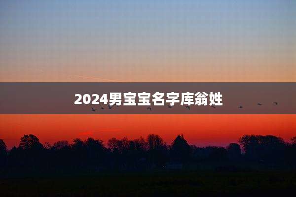 2024男宝宝名字库翁姓