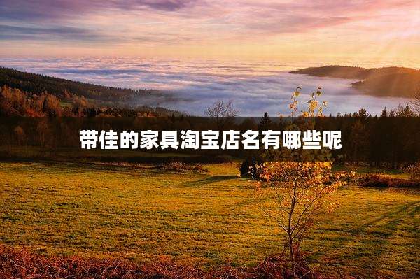 带佳的家具淘宝店名有哪些呢